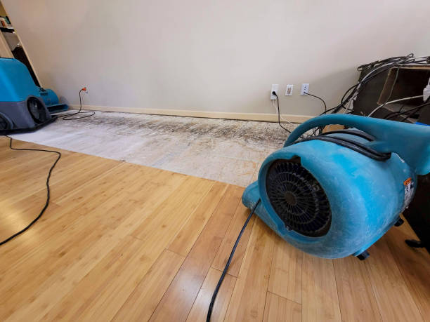 Professional Water Damage Repair technician working in Knob Noster, MO